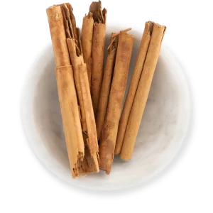  CANELA